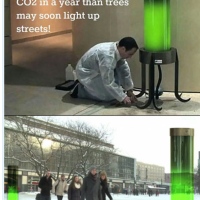 Algae Lamp Absorbs CO2